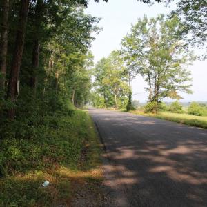 Photo #5 of VALLEY BURG RD, LURAY, VA 58.0 acres