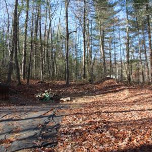 Photo #18 of VALLEY BURG RD, LURAY, VA 58.0 acres