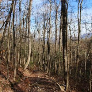 Photo #21 of VALLEY BURG RD, LURAY, VA 58.0 acres