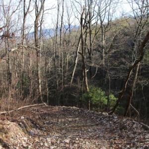Photo #25 of VALLEY BURG RD, LURAY, VA 58.0 acres