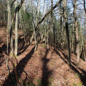 Photo #27 of VALLEY BURG RD, LURAY, VA 58.0 acres