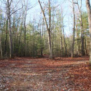 Photo #2 of VALLEY BURG RD, LURAY, VA 58.0 acres