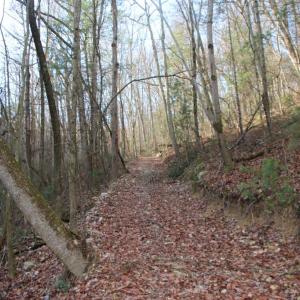 Photo #33 of VALLEY BURG RD, LURAY, VA 58.0 acres