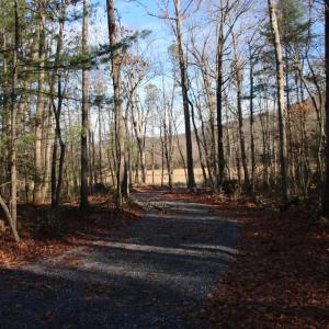 Photo #34 of VALLEY BURG RD, LURAY, VA 58.0 acres