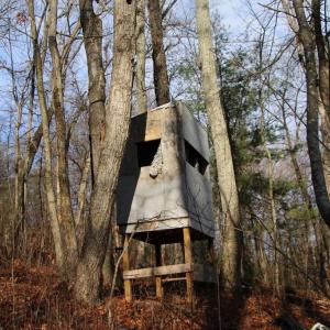 Photo #35 of VALLEY BURG RD, LURAY, VA 58.0 acres