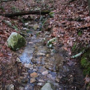 Photo #13 of VALLEY BURG RD, LURAY, VA 58.0 acres