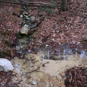 Photo #12 of VALLEY BURG RD, LURAY, VA 58.0 acres