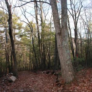 Photo #36 of VALLEY BURG RD, LURAY, VA 58.0 acres