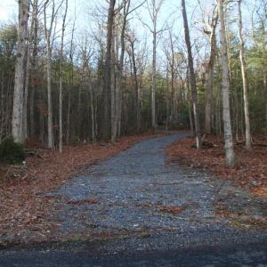 Photo #6 of VALLEY BURG RD, LURAY, VA 58.0 acres