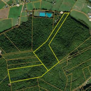Photo #39 of VALLEY BURG RD, LURAY, VA 58.0 acres