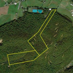 Photo #43 of VALLEY BURG RD, LURAY, VA 58.0 acres