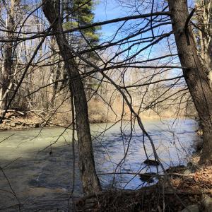 Creek view downstream
