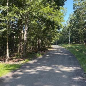 Photo #4 of 23 TAYLOR RD, LOUISA, VA 11.8 acres