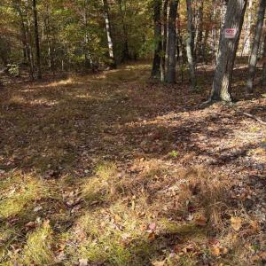 Photo #5 of 23 TAYLOR RD, LOUISA, VA 11.8 acres