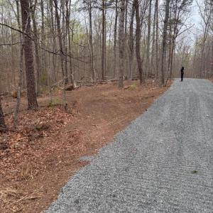 Photo #7 of 23 TAYLOR RD, LOUISA, VA 11.8 acres