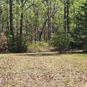 Photo #1 of 3618 JOHNSON RD, MINERAL, VA 6.6 acres