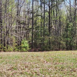 Photo #12 of 3618 JOHNSON RD, MINERAL, VA 6.6 acres