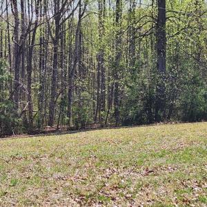 Photo #13 of 3618 JOHNSON RD, MINERAL, VA 6.6 acres