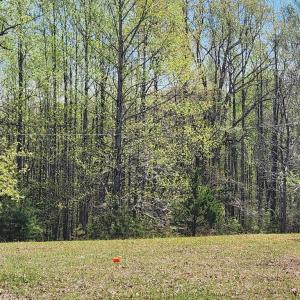 Photo #15 of 3618 JOHNSON RD, MINERAL, VA 6.6 acres