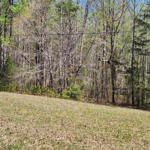 Photo #9 of 3618 JOHNSON RD, MINERAL, VA 6.6 acres