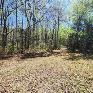 Photo #6 of 3618 JOHNSON RD, MINERAL, VA 6.6 acres