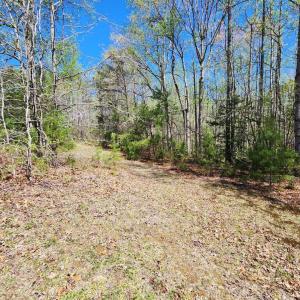 Photo #5 of 3618 JOHNSON RD, MINERAL, VA 6.6 acres