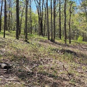 Lot 1-B-1 0 Yale Dr, Salem, VA 24153