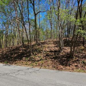 Lot 1-B-1 0 Yale Dr, Salem, VA 24153