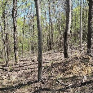 Lot 1-B-1 0 Yale Dr, Salem, VA 24153