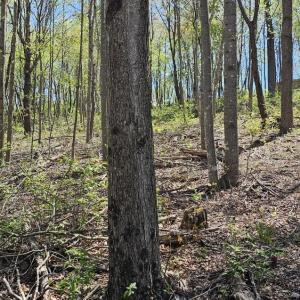 Lot 1-B-1 0 Yale Dr, Salem, VA 24153