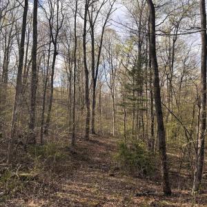 Photo #1 of PADUA, SPERRYVILLE, VA 14.3 acres