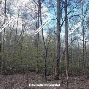 Photo #3 of PADUA, SPERRYVILLE, VA 14.3 acres