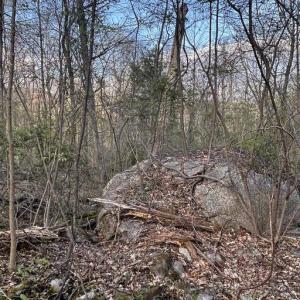 Photo #5 of PADUA, SPERRYVILLE, VA 14.3 acres