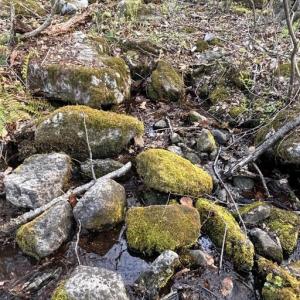 Photo #6 of PADUA, SPERRYVILLE, VA 14.3 acres