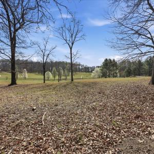 Photo #3 of MCDONALDS, HUME, VA 1.2 acres