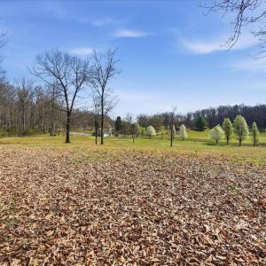 Photo #4 of MCDONALDS, HUME, VA 1.2 acres