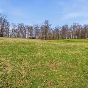 Photo #6 of MCDONALDS, HUME, VA 1.2 acres