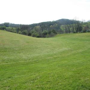 lot4