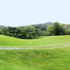 pasture