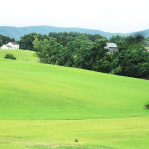 rolling pasture