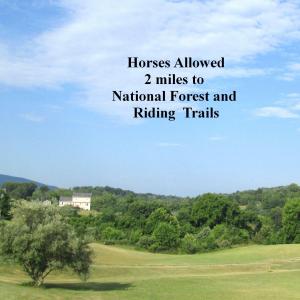 horses allowed