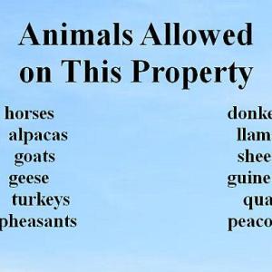 animals allowed