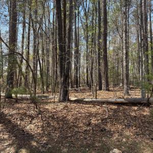 Photo #2 of WINDWOOD COVES BLVD, MINERAL, VA 0.9 acres