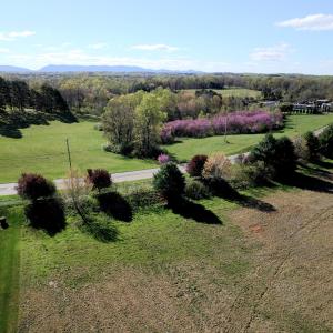 org_cd2d785b27c673a9_1712410724000