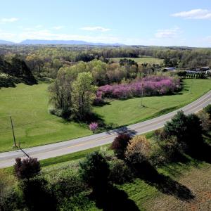 org_aaff9cfe8e1da328_1712410732000