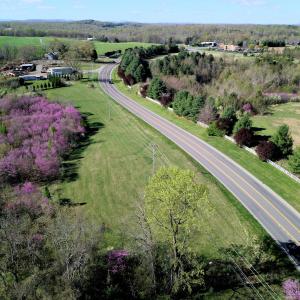 org_2c11eceaa25cf00e_1712410774000