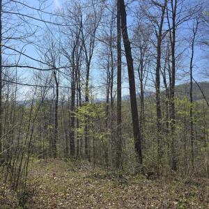 Photo #5 of S FT VALLEY RD, MADISON, VA 10.3 acres