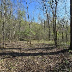 Photo #8 of S FT VALLEY RD, MADISON, VA 10.3 acres
