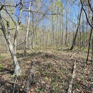 Photo #7 of S FT VALLEY RD, MADISON, VA 10.3 acres