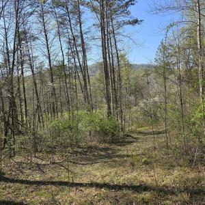 Photo #3 of S FT VALLEY RD, MADISON, VA 10.3 acres